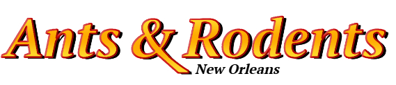 New Orleans Ant Exterminator & Rodent Control Company Logo